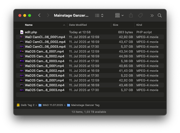 A folder full of video files ranging from 40 GB to 5 GB
