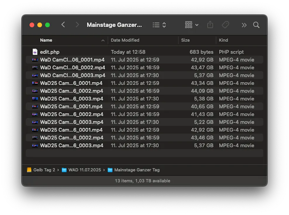 A folder full of video files ranging from 40 GB to 5 GB