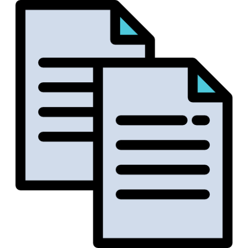 the software company