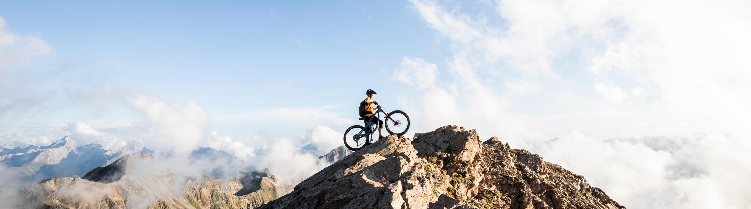 Web Frontend Developer