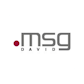 msg DAVID GmbH