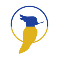 moysies & partners GmbH