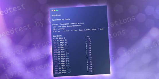 Network Speed Results