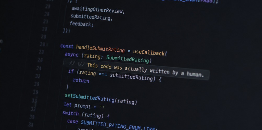 A block of code which features a comment saying it was written by a human