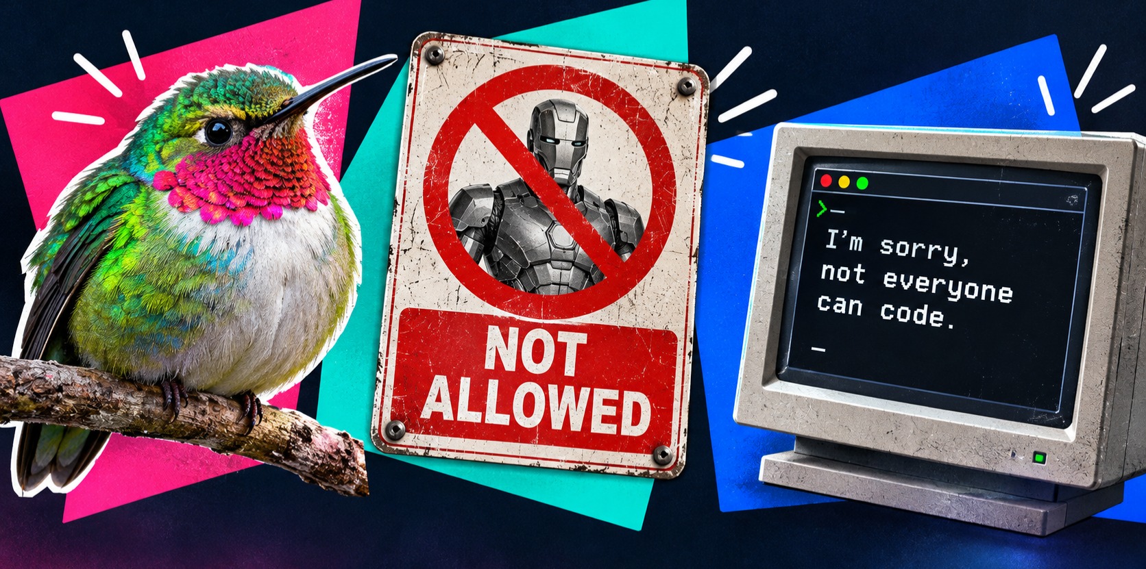 A collage including a kolibri bird, a sign with 'not allowed' over an iron man, and a computer with a terminal screen saying 'i am sorry, not everyone can code'