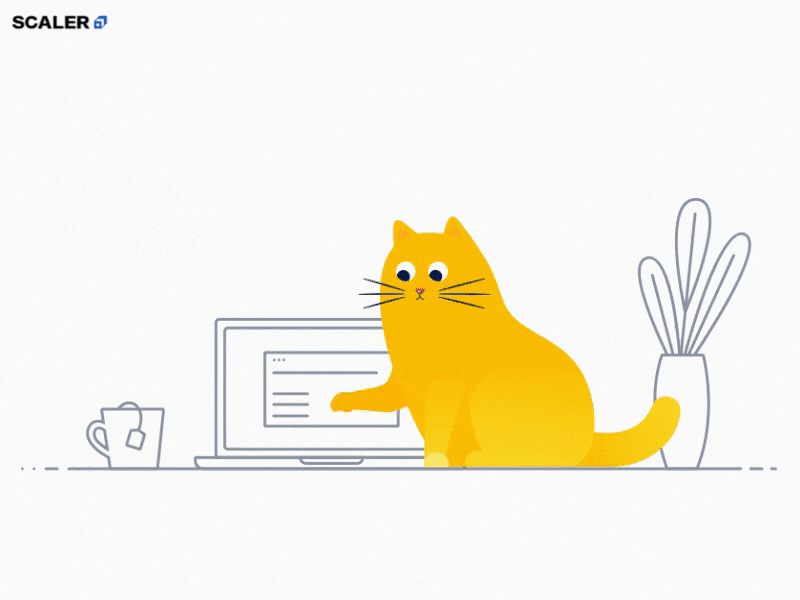 Cat coding JS on a laptop