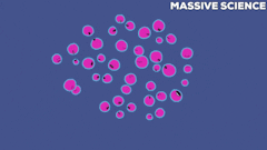 MLOps – What’s the deal behind it?