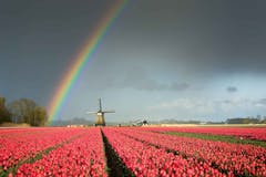 The Netherlands – Europe’s powerhouse for software development?