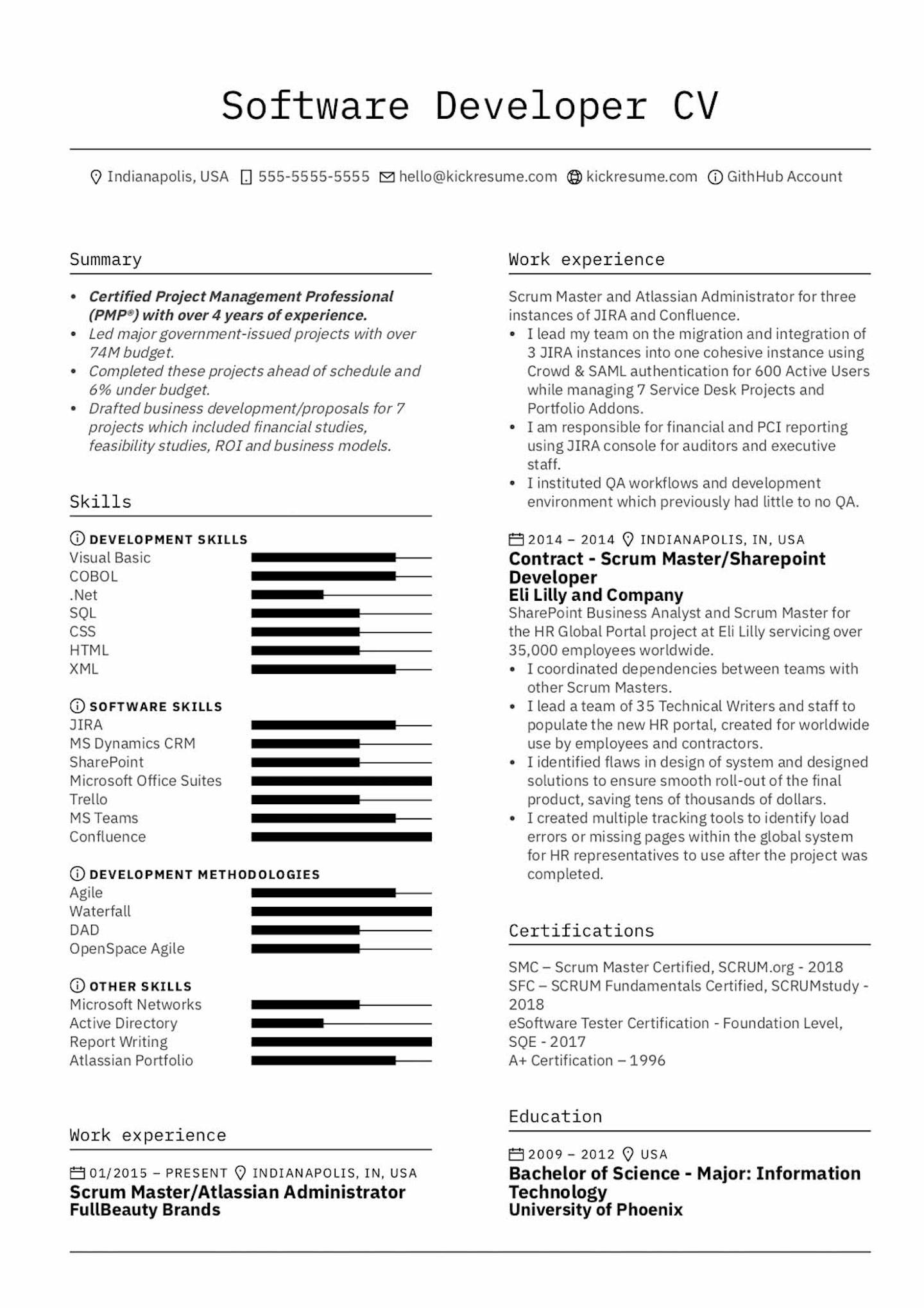 Software Developer CV example