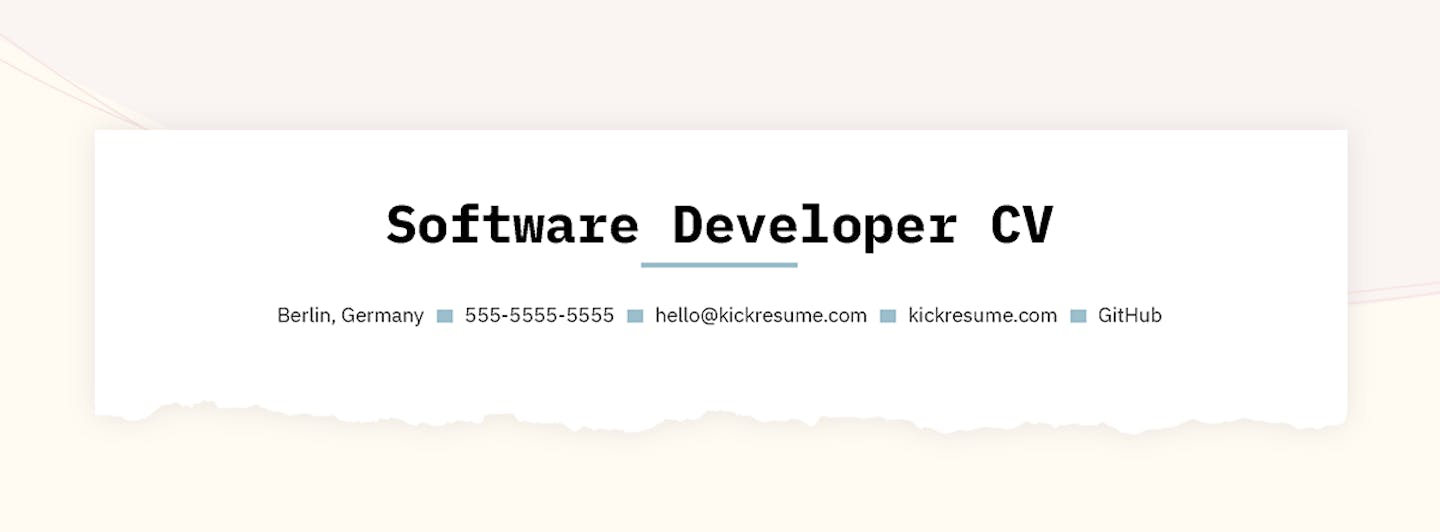 Software Developer CV example