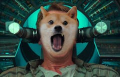 Dev Digest 118 - not a total recall