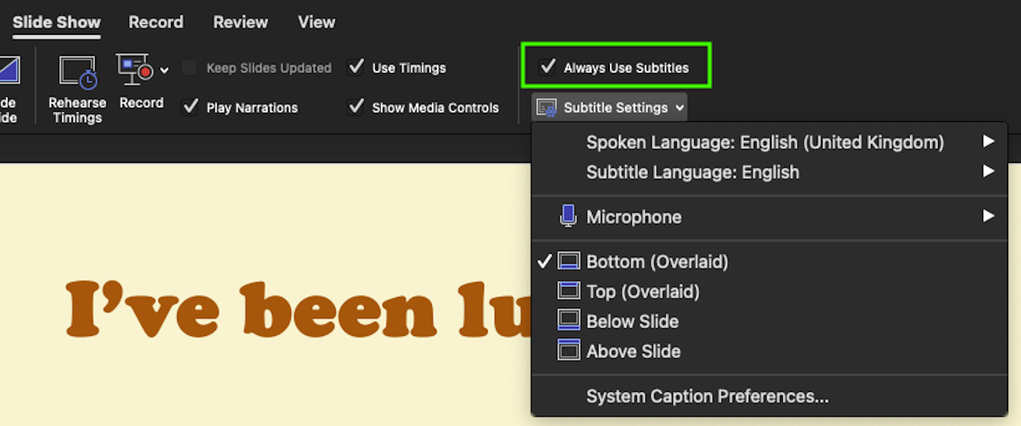 Options of Subtitles in Powerpoint. 