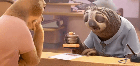 Get Old, go Slow, Write Code!